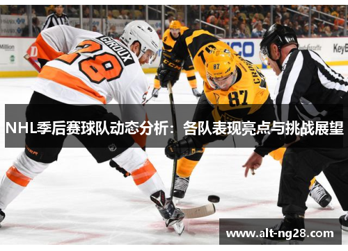 NHL季后赛球队动态分析：各队表现亮点与挑战展望