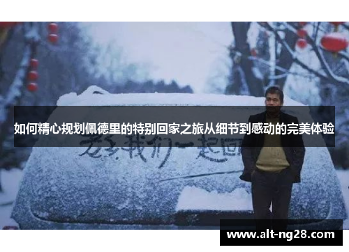 如何精心规划佩德里的特别回家之旅从细节到感动的完美体验