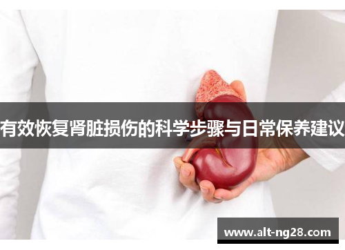 有效恢复肾脏损伤的科学步骤与日常保养建议