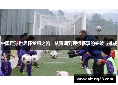 中国足球世界杯梦想之路：从青训到顶级赛事的突破与挑战